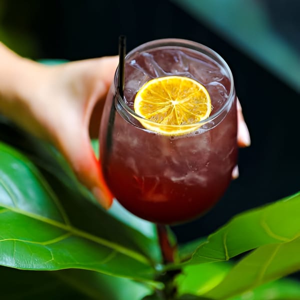 Hand holding a red cocktail with ice, a lemon slice, and a straw, surrounded by green leaves.