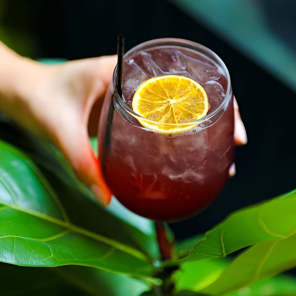 Hand holding a red cocktail with ice, a lemon slice, and a straw, surrounded by green leaves.